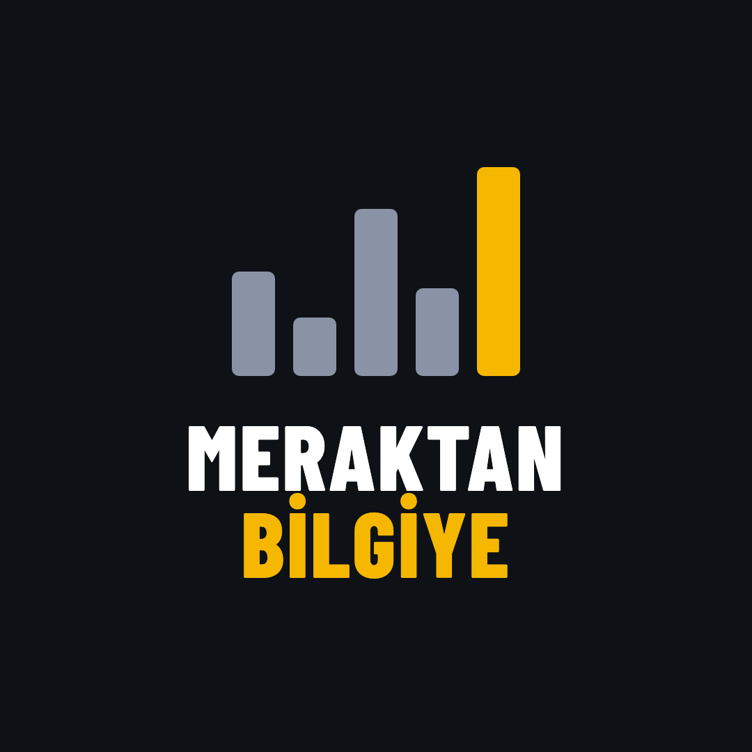Meraktan Bilgiye